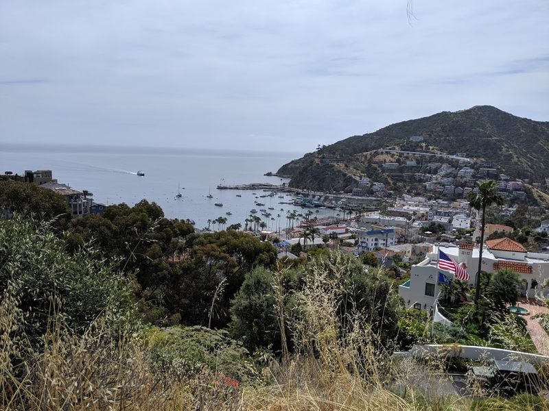 Illustration for article titled Driving on Catalina Island